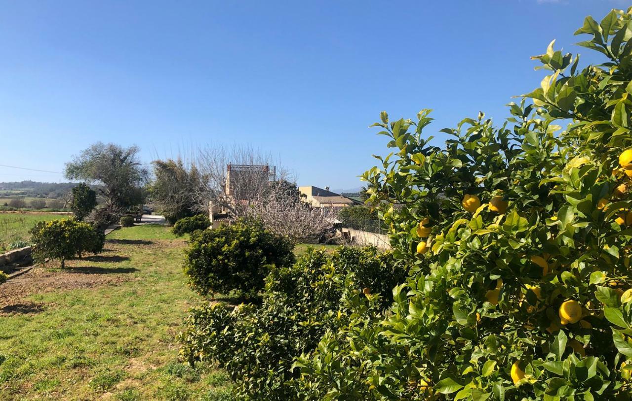Son Roig ,Beautiful Place In The Heart Of Mallorca -Etv 9979 Maria De La Salut Luaran gambar