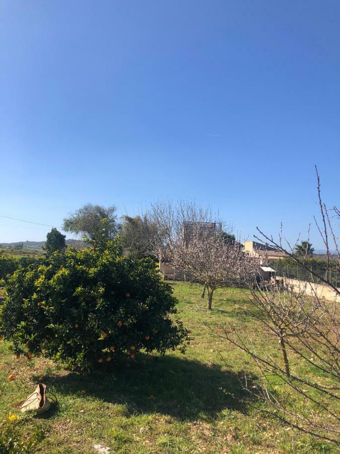 Son Roig ,Beautiful Place In The Heart Of Mallorca -Etv 9979 Maria De La Salut Luaran gambar